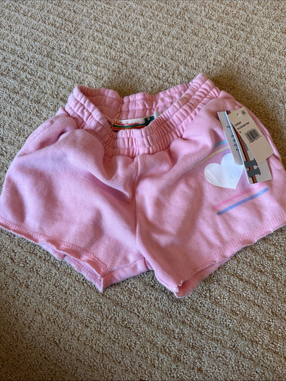 Vintage Havana Pink Heart Stripe Kids Shorts